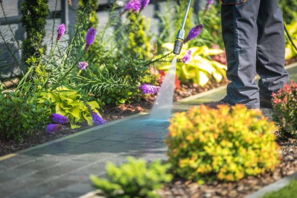 Professional Pressure Washing Services in Winchester, CA
