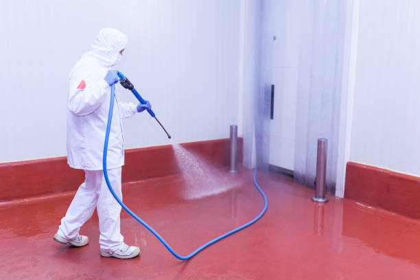 Best Heavy Equipment Washing  in Winchester, CA